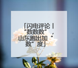 闪电评论丨“数数数”，山东跑出加“数”度