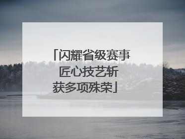 闪耀省级赛事  匠心技艺斩获多项殊荣