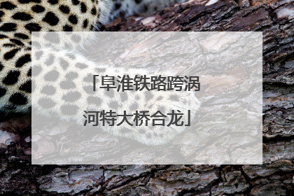 阜淮铁路跨涡河特大桥合龙