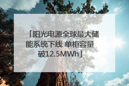 阳光电源全球最大储能系统下线 单柜容量破12.5MWh