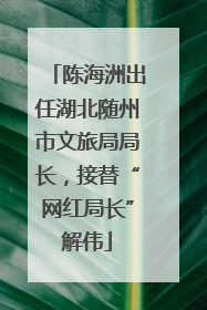 陈海洲出任湖北随州市文旅局局长，接替“网红局长”解伟