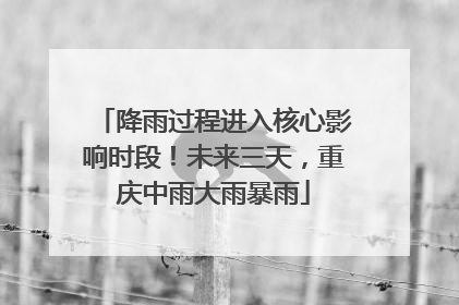 降雨过程进入核心影响时段！未来三天，重庆中雨大雨暴雨