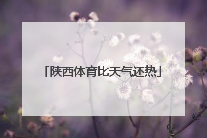 陕西体育比天气还热