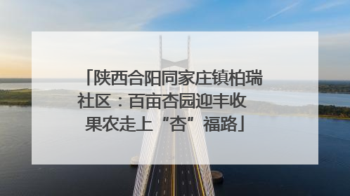 陕西合阳同家庄镇柏瑞社区：百亩杏园迎丰收 果农走上“杏”福路