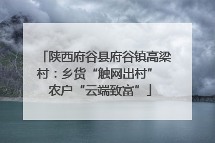 陕西府谷县府谷镇高梁村：乡货“触网出村” 农户“云端致富”