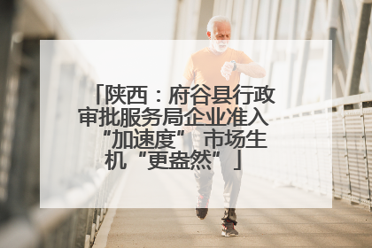 陕西：府谷县行政审批服务局企业准入“加速度” 市场生机“更盎然”