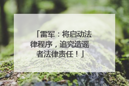 雷军：将启动法律程序，追究造谣者法律责任！