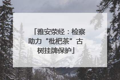 雅安荥经：检察助力“枇杷茶”古树挂牌保护