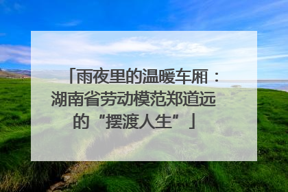 雨夜里的温暖车厢：湖南省劳动模范郑道远的“摆渡人生”