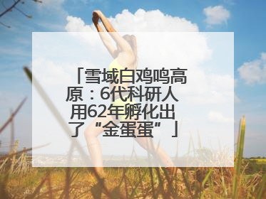 雪域白鸡鸣高原：6代科研人用62年孵化出了“金蛋蛋”