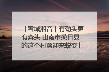 雪域湘音｜有劲头更有奔头 山南市桑日县的这个村落迎来蜕变
