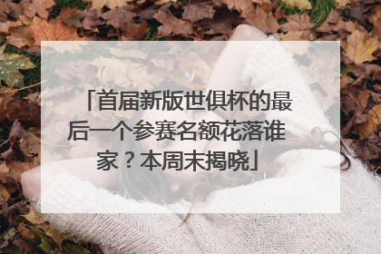 首届新版世俱杯的最后一个参赛名额花落谁家？本周末揭晓