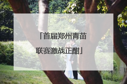 首届郑州青苗联赛激战正酣