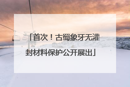 首次！古蜀象牙无灌封材料保护公开展出