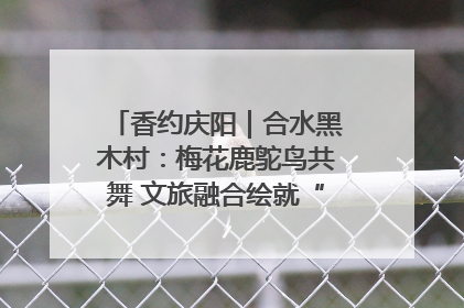 香约庆阳｜合水黑木村：梅花鹿鸵鸟共舞 文旅融合绘就“诗与远方”