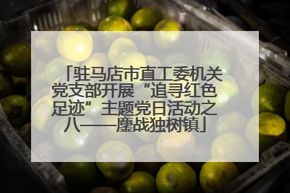 驻马店市直工委机关党支部开展“追寻红色足迹”主题党日活动之八——鏖战独树镇