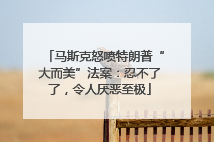 马斯克怒喷特朗普“大而美”法案：忍不了了，令人厌恶至极