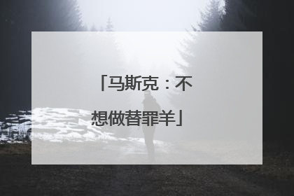 马斯克：不想做替罪羊