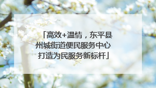 高效+温情，东平县州城街道便民服务中心打造为民服务新标杆