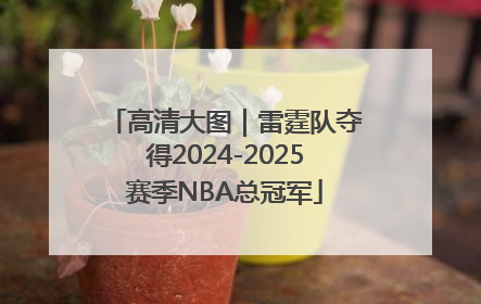 高清大图｜雷霆队夺得2024-2025赛季NBA总冠军