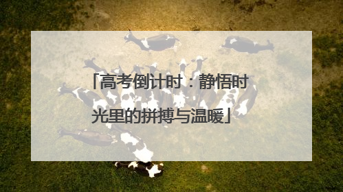 高考倒计时：静悟时光里的拼搏与温暖