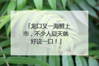 龙口又一海鲜上市，不少人夏天就好这一口！