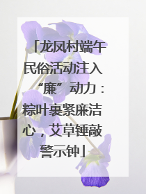 龙凤村端午民俗活动注入“廉”动力：粽叶裹紧廉洁心，艾草锤敲警示钟