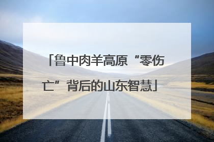 鲁中肉羊高原“零伤亡”背后的山东智慧