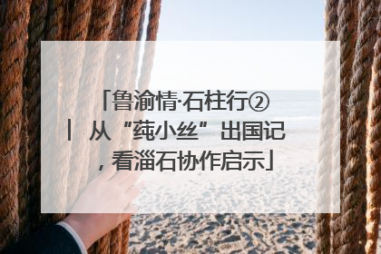 鲁渝情·石柱行② ︳从“莼小丝”出国记，看淄石协作启示