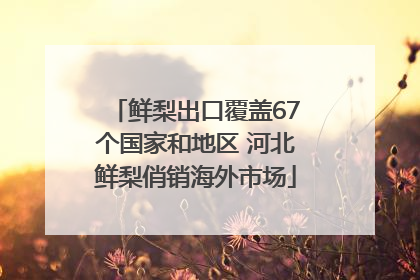 鲜梨出口覆盖67个国家和地区 河北鲜梨俏销海外市场