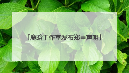 鹿晗工作室发布郑重声明