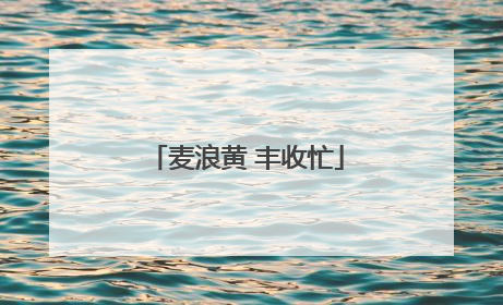 麦浪黄 丰收忙