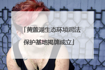 黄盖湖生态环境司法保护基地揭牌成立