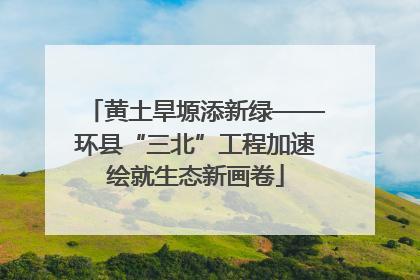 黄土旱塬添新绿——环县“三北”工程加速绘就生态新画卷