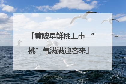 黄陂早鲜桃上市 “桃”气满满迎客来
