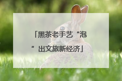 黑茶老手艺“泡”出文旅新经济