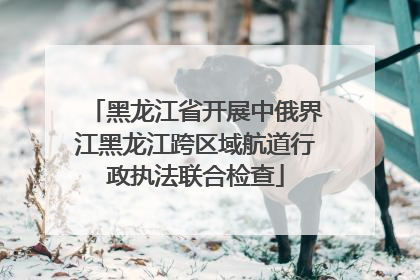 黑龙江省开展中俄界江黑龙江跨区域航道行政执法联合检查
