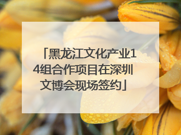 黑龙江文化产业14组合作项目在深圳文博会现场签约