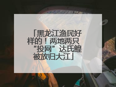 黑龙江渔民好样的！两地两只“投网”达氏鳇被放归大江