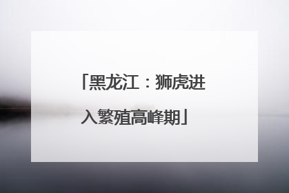 黑龙江：狮虎进入繁殖高峰期