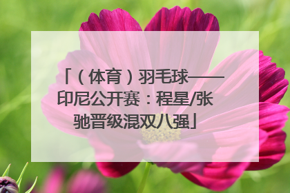 （体育）羽毛球——印尼公开赛：程星/张驰晋级混双八强