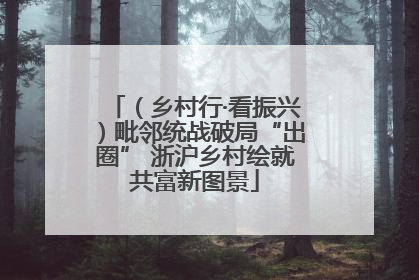 （乡村行·看振兴）毗邻统战破局“出圈” 浙沪乡村绘就共富新图景