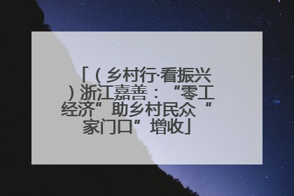 （乡村行·看振兴）浙江嘉善：“零工经济”助乡村民众“家门口”增收