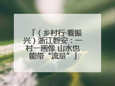（乡村行·看振兴）浙江磐安：一村一画像 山水也能带“流量”