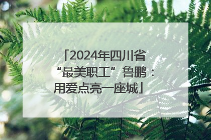 2024年四川省“最美职工”鲁鹏：用爱点亮一座城