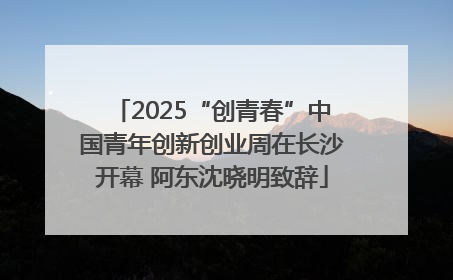 2025“创青春”中国青年创新创业周在长沙开幕 阿东沈晓明致辞