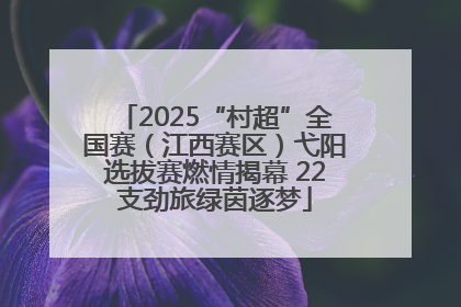 2025“村超”全国赛（江西赛区）弋阳选拔赛燃情揭幕 22支劲旅绿茵逐梦