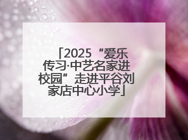 2025“爱乐传习·中艺名家进校园”走进平谷刘家店中心小学