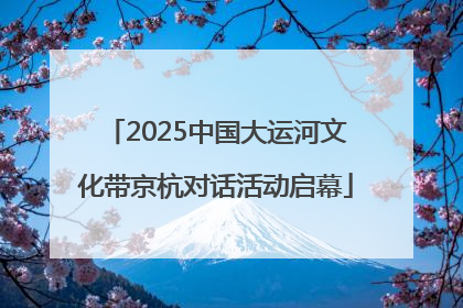 2025中国大运河文化带京杭对话活动启幕