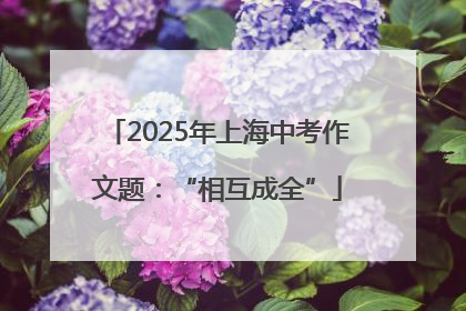 2025年上海中考作文题：“相互成全”